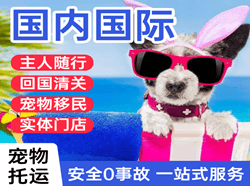 佛山航空邮寄国际宠物托运 【国